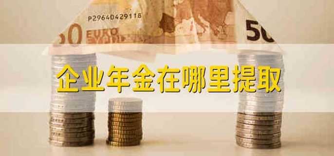 企业年金在哪里提取