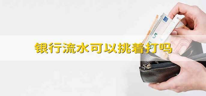 银行流水可以挑着打吗