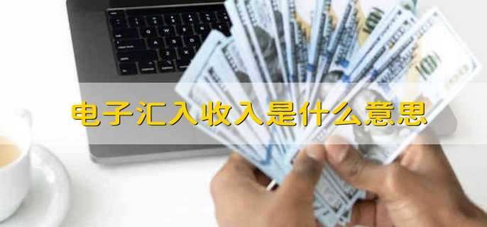 电子汇入收入是什么意思