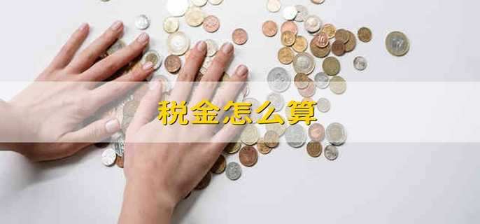 税金怎么算 如何计算税金
