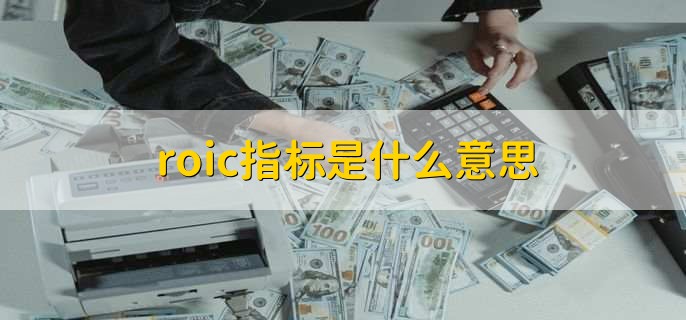 roic指标是什么意思