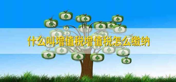 什么叫增值税增值税怎么缴纳