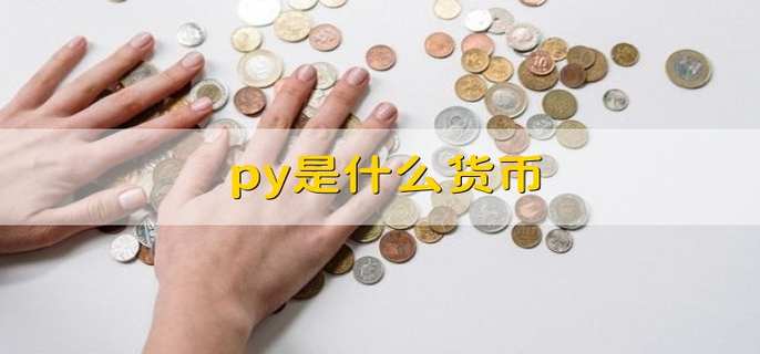 py是什么货币