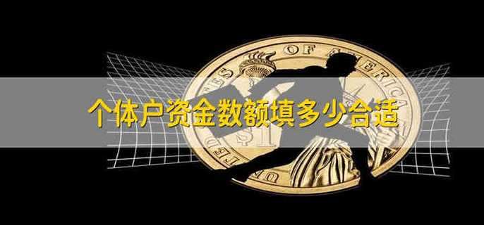 个体户资金数额填多少合适