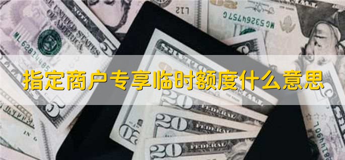 指定商户专享临时额度什么意思
