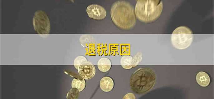 退税原因