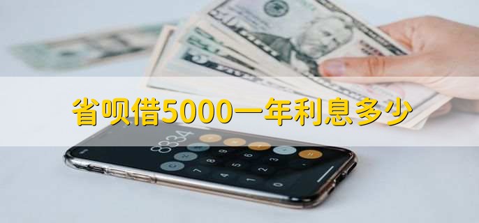 省呗借5000一年利息多少