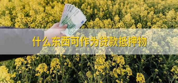 什么东西可作为贷款抵押物