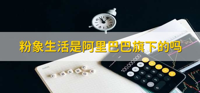 粉象生活是阿里巴巴旗下的吗