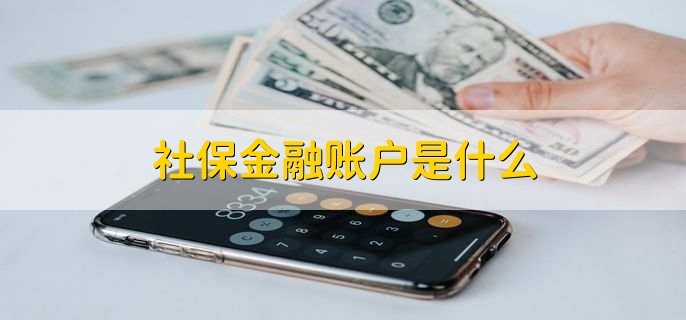 社保金融账户是什么