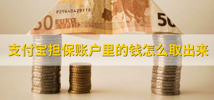 支付宝担保账户里的钱怎么取出来？