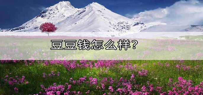 豆豆钱怎么样？