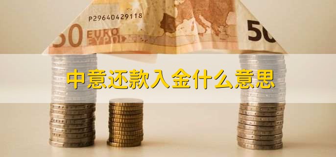 中意还款入金什么意思？