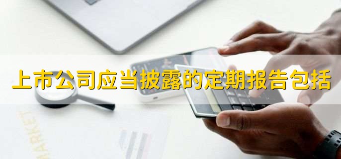 上市公司应当披露的定期报告包括