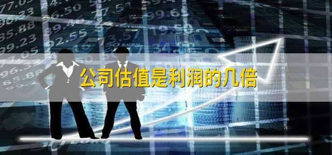 公司估值是利润的几倍
