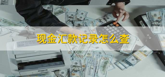 现金汇款记录怎么查