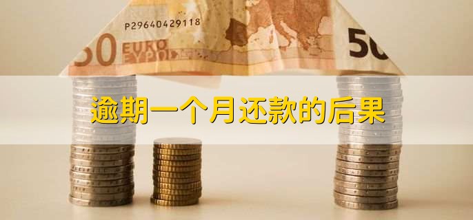 逾期一个月还款的后果？