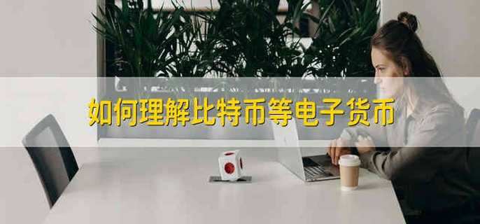 如何理解比特币等电子货币