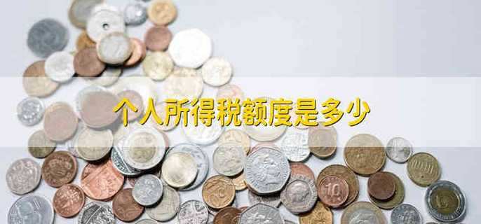 个人所得税额度是多少