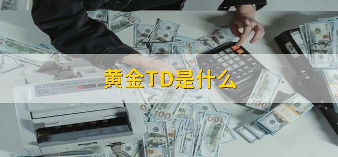 黄金TD是什么
