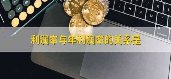 利润率与年利润率的关系是