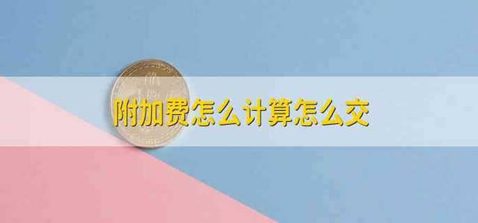 附加费怎么计算怎么交