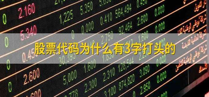 股票代码为什么有3字打头的