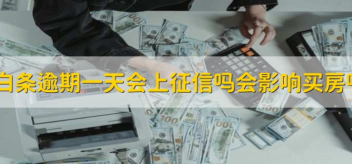 白条逾期一天会上征信吗会影响买房吗