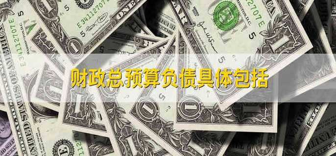 财政总预算负债具体包括
