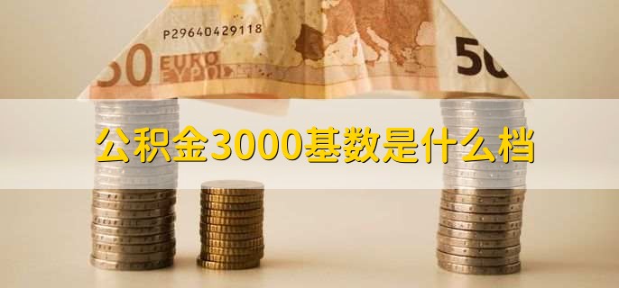 公积金3000基数是什么档？