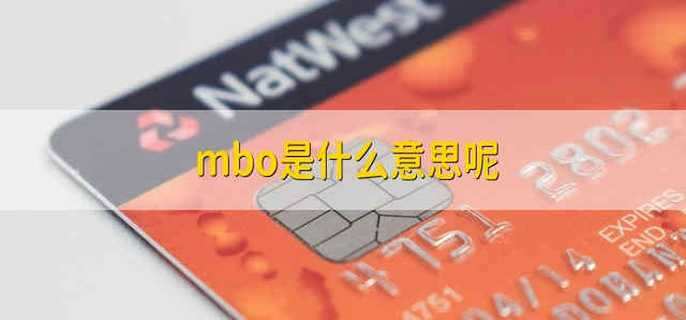 mbo是什么意思呢