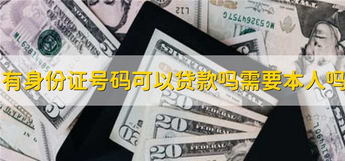 有身份证号码可以贷款吗需要本人吗