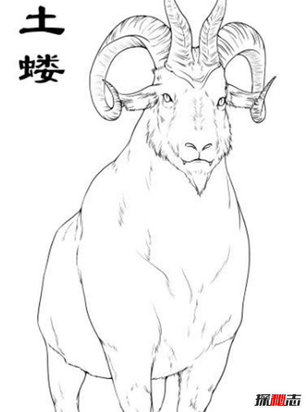 土蝼是否真实存在过?山海经土蝼其型如羊有四角