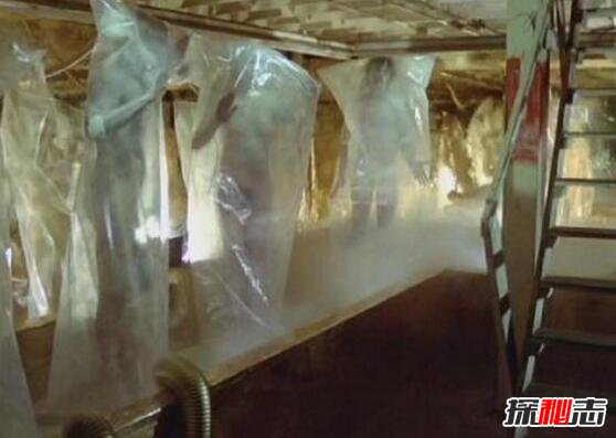 新疆复制人是真的吗？1956新疆复制人事件全解密