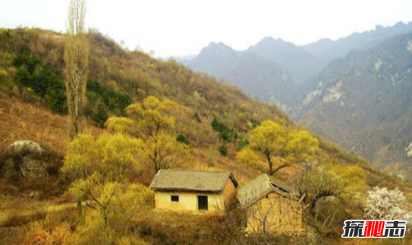 盘点各地发生的奇异事件,云南山村一母猪生8个男婴儿(怪事连连)