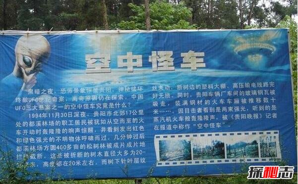 1994年贵阳空中怪车事件真相，外星人造访都溪林场(400亩松树被拦腰切断)