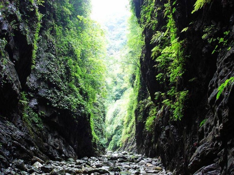 地球十大神秘禁区:第四个是动物坟墓,中国四地上榜
